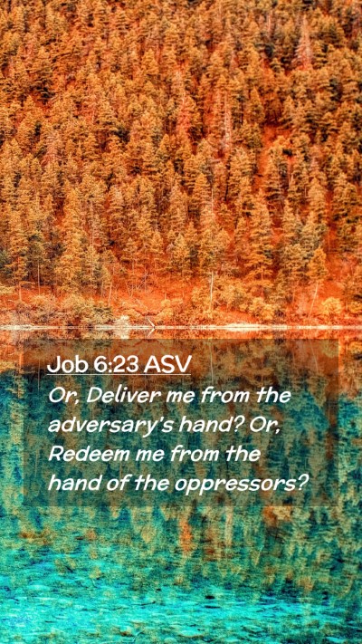 Picture 02 - Job 6:23 ASV Mobile Phone Wallpaper - Or, Deliver me from the adversary's hand? Or, - Mobile Bible Verse Wallpaper