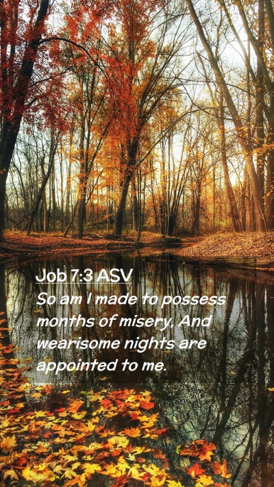 Picture 02 - Job 7:3 ASV Mobile Phone Wallpaper - So am I made to possess months of misery, And - Mobile Bible Verse Wallpaper