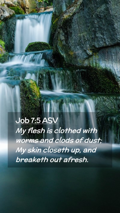Picture 02 - Job 7:5 ASV Mobile Phone Wallpaper - My flesh is clothed with worms and clods of dust; - Mobile Bible Verse Wallpaper