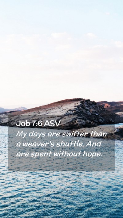Picture 02 - Job 7:6 ASV Mobile Phone Wallpaper - My days are swifter than a weaver's shuttle, And - Mobile Bible Verse Wallpaper