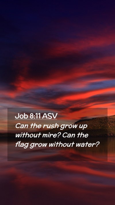 Picture 02 - Job 8:11 ASV Mobile Phone Wallpaper - Can the rush grow up without mire? Can the flag - Mobile Bible Verse Wallpaper