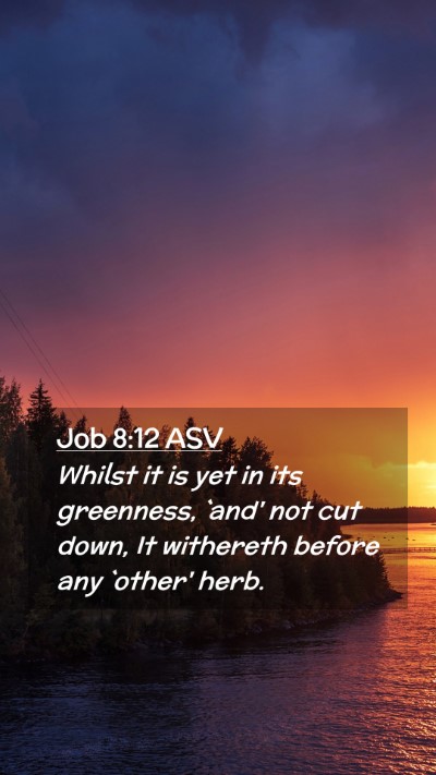 Picture 02 - Job 8:12 ASV Mobile Phone Wallpaper - Whilst it is yet in its greenness, `and' not cut - Mobile Bible Verse Wallpaper