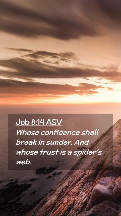 Picture 02 - Job 8:14 ASV Mobile Phone Wallpaper - Whose confidence shall break in sunder, And whose - Mobile Bible Verse Wallpaper