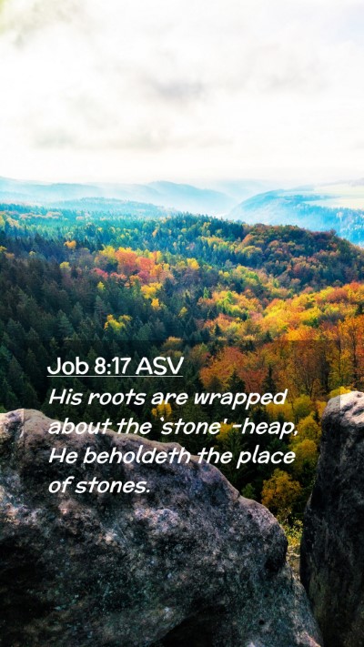 Picture 02 - Job 8:17 ASV Mobile Phone Wallpaper - His roots are wrapped about the `stone' -heap, He - Mobile Bible Verse Wallpaper