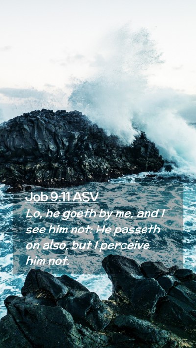 Picture 02 - Job 9:11 ASV Mobile Phone Wallpaper - Lo, he goeth by me, and I see him not: He passeth - Mobile Bible Verse Wallpaper
