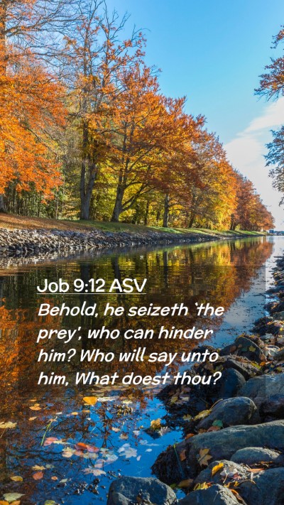 Picture 02 - Job 9:12 ASV Mobile Phone Wallpaper - Behold, he seizeth `the prey', who can hinder - Mobile Bible Verse Wallpaper