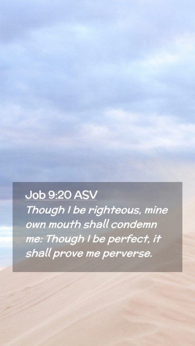 Picture 02 - Job 9:20 ASV Mobile Phone Wallpaper - Though I be righteous, mine own mouth shall - Mobile Bible Verse Wallpaper