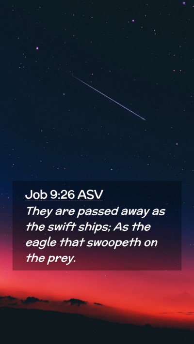 Picture 02 - Job 9:26 ASV Mobile Phone Wallpaper - They are passed away as the swift ships; As the - Mobile Bible Verse Wallpaper