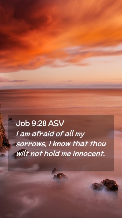 Picture 02 - Job 9:28 ASV Mobile Phone Wallpaper - I am afraid of all my sorrows, I know that thou - Mobile Bible Verse Wallpaper