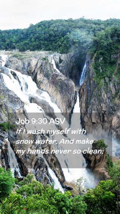 Picture 02 - Job 9:30 ASV Mobile Phone Wallpaper - If I wash myself with snow water, And make my - Mobile Bible Verse Wallpaper