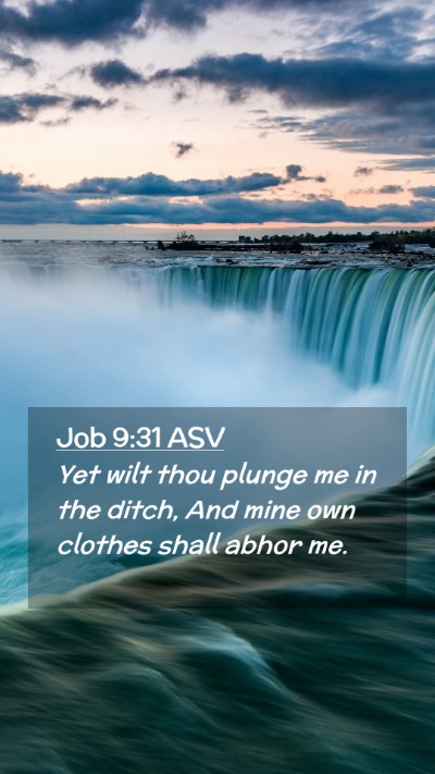 Picture 02 - Job 9:31 ASV Mobile Phone Wallpaper - Yet wilt thou plunge me in the ditch, And mine - Mobile Bible Verse Wallpaper