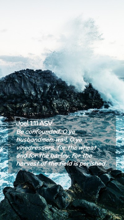 Picture 02 - Joel 1:11 ASV Mobile Phone Wallpaper - Be confounded, O ye husbandmen, wail, O ye - Mobile Bible Verse Wallpaper