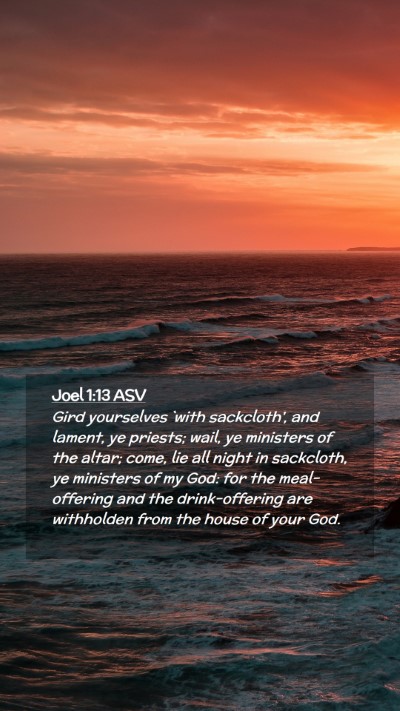 Picture 02 - Joel 1:13 ASV Mobile Phone Wallpaper - Gird yourselves `with sackcloth', and lament, ye - Mobile Bible Verse Wallpaper
