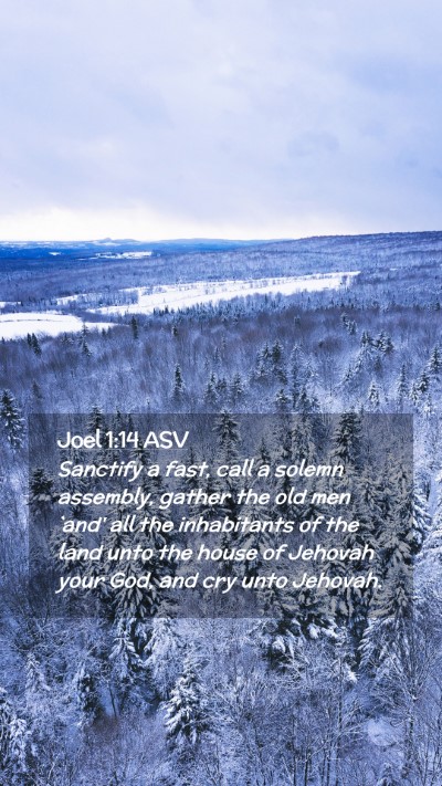 Picture 02 - Joel 1:14 ASV Mobile Phone Wallpaper - Sanctify a fast, call a solemn assembly, gather - Mobile Bible Verse Wallpaper