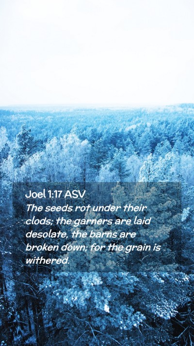 Picture 02 - Joel 1:17 ASV Mobile Phone Wallpaper - The seeds rot under their clods; the garners are - Mobile Bible Verse Wallpaper