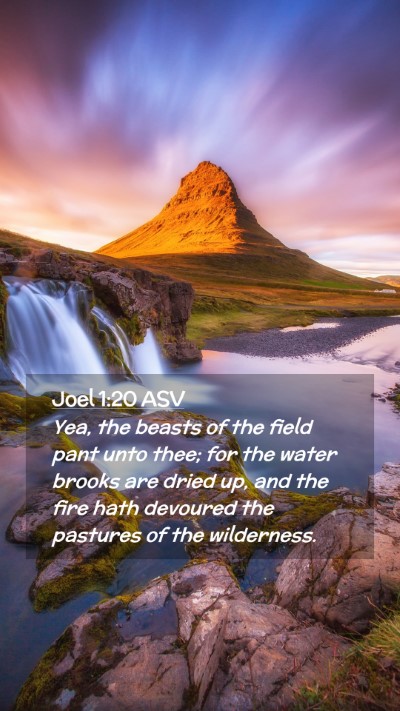 Picture 02 - Joel 1:20 ASV Mobile Phone Wallpaper - Yea, the beasts of the field pant unto thee; for - Mobile Bible Verse Wallpaper