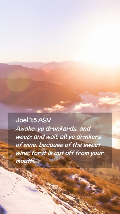 Picture 02 - Joel 1:5 ASV Mobile Phone Wallpaper - Awake, ye drunkards, and weep; and wail, all ye - Mobile Bible Verse Wallpaper