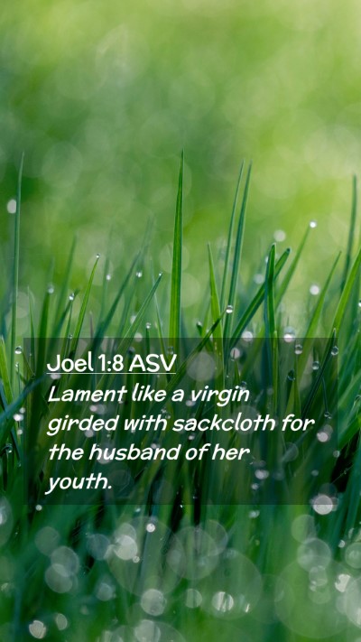 Picture 02 - Joel 1:8 ASV Mobile Phone Wallpaper - Lament like a virgin girded with sackcloth for - Mobile Bible Verse Wallpaper