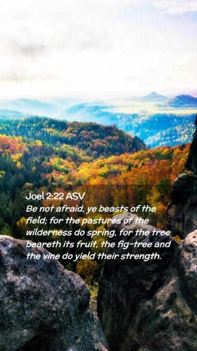 Picture 02 - Joel 2:22 ASV Mobile Phone Wallpaper - Be not afraid, ye beasts of the field; for the - Mobile Bible Verse Wallpaper