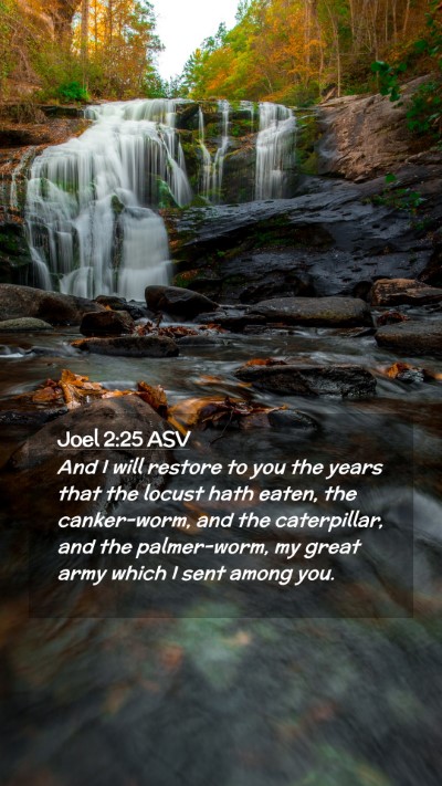 Picture 02 - Joel 2:25 ASV Mobile Phone Wallpaper - And I will restore to you the years that the - Mobile Bible Verse Wallpaper