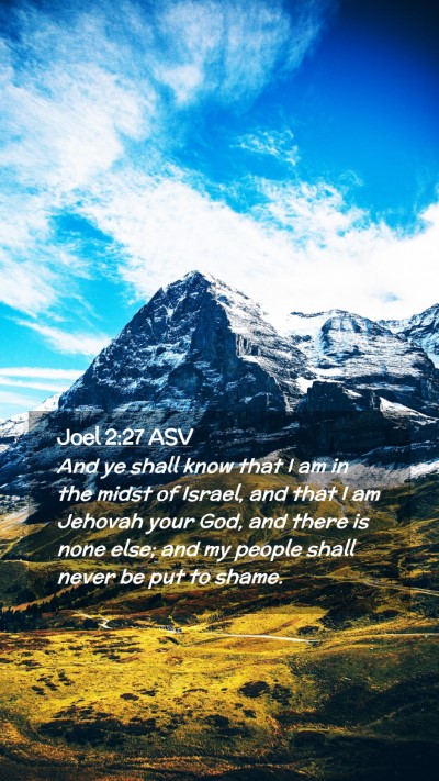 Picture 02 - Joel 2:27 ASV Mobile Phone Wallpaper - And ye shall know that I am in the midst of - Mobile Bible Verse Wallpaper