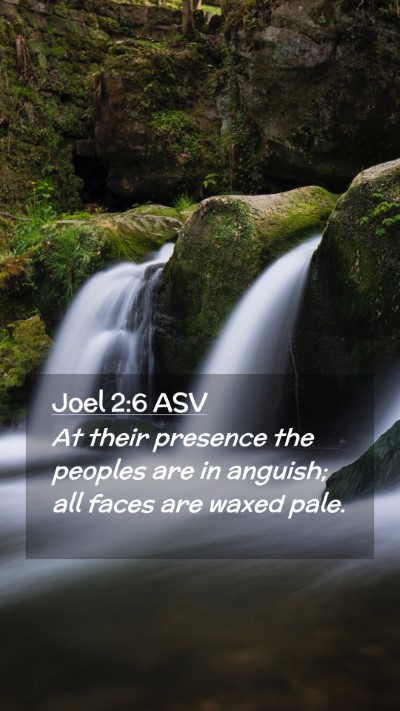 Picture 02 - Joel 2:6 ASV Mobile Phone Wallpaper - At their presence the peoples are in anguish; all - Mobile Bible Verse Wallpaper