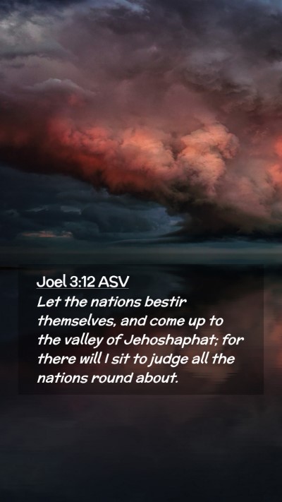 Picture 02 - Joel 3:12 ASV Mobile Phone Wallpaper - Let the nations bestir themselves, and come up to - Mobile Bible Verse Wallpaper
