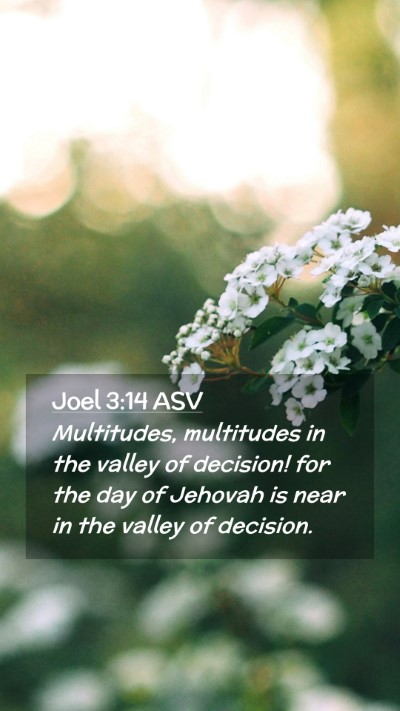 Picture 02 - Joel 3:14 ASV Mobile Phone Wallpaper - Multitudes, multitudes in the valley of decision! - Mobile Bible Verse Wallpaper