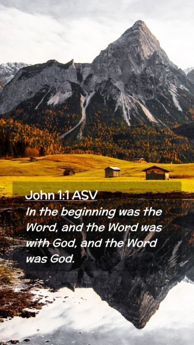 Picture 02 - John 1:1 ASV Mobile Phone Wallpaper - In the beginning was the Word, and the Word was - Mobile Bible Verse Wallpaper