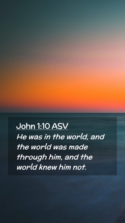Picture 02 - John 1:10 ASV Mobile Phone Wallpaper - He was in the world, and the world was made - Mobile Bible Verse Wallpaper