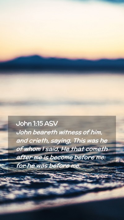 Picture 02 - John 1:15 ASV Mobile Phone Wallpaper - John beareth witness of him, and crieth, saying, - Mobile Bible Verse Wallpaper