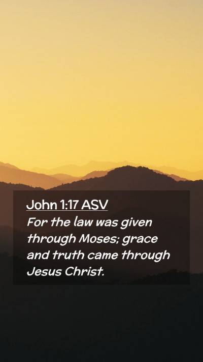 Picture 02 - John 1:17 ASV Mobile Phone Wallpaper - For the law was given through Moses; grace and - Mobile Bible Verse Wallpaper