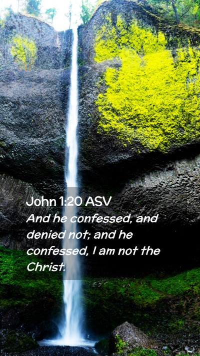 Picture 02 - John 1:20 ASV Mobile Phone Wallpaper - And he confessed, and denied not; and he - Mobile Bible Verse Wallpaper