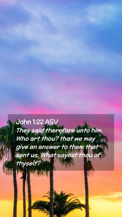 Picture 02 - John 1:22 ASV Mobile Phone Wallpaper - They said therefore unto him, Who art thou? that - Mobile Bible Verse Wallpaper