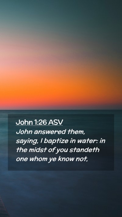 Picture 02 - John 1:26 ASV Mobile Phone Wallpaper - John answered them, saying, I baptize in water: - Mobile Bible Verse Wallpaper