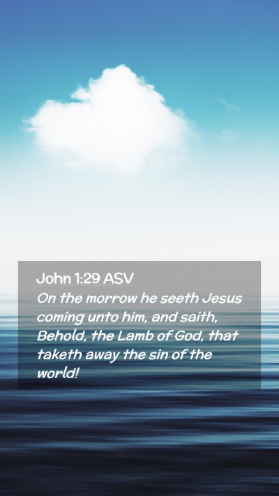 Picture 02 - John 1:29 ASV Mobile Phone Wallpaper - On the morrow he seeth Jesus coming unto him, and - Mobile Bible Verse Wallpaper