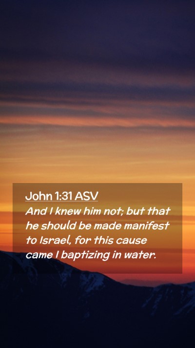 Picture 02 - John 1:31 ASV Mobile Phone Wallpaper - And I knew him not; but that he should be made - Mobile Bible Verse Wallpaper