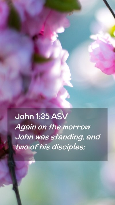 Picture 02 - John 1:35 ASV Mobile Phone Wallpaper - Again on the morrow John was standing, and two of - Mobile Bible Verse Wallpaper