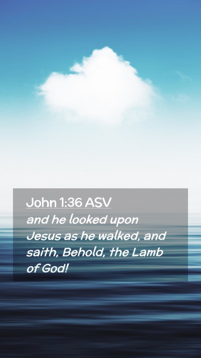 Picture 02 - John 1:36 ASV Mobile Phone Wallpaper - and he looked upon Jesus as he walked, and saith, - Mobile Bible Verse Wallpaper
