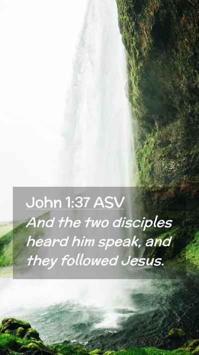 Picture 02 - John 1:37 ASV Mobile Phone Wallpaper - And the two disciples heard him speak, and they - Mobile Bible Verse Wallpaper