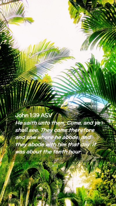 Picture 02 - John 1:39 ASV Mobile Phone Wallpaper - He saith unto them, Come, and ye shall see. They - Mobile Bible Verse Wallpaper