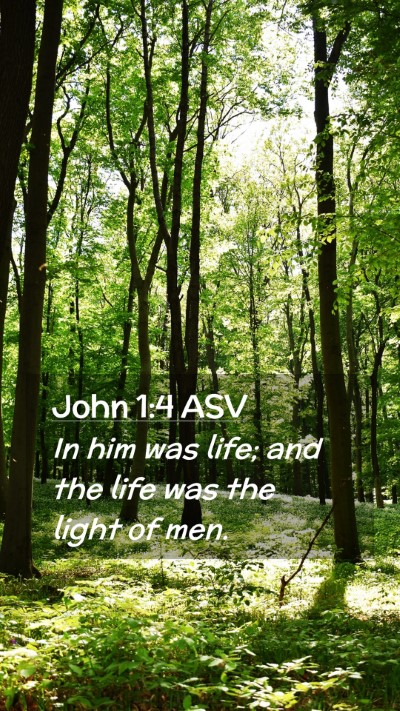 Picture 02 - John 1:4 ASV Mobile Phone Wallpaper - In him was life; and the life was the light of - Mobile Bible Verse Wallpaper