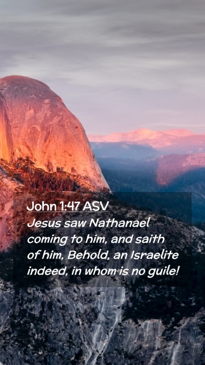 Picture 02 - John 1:47 ASV Mobile Phone Wallpaper - Jesus saw Nathanael coming to him, and saith of - Mobile Bible Verse Wallpaper