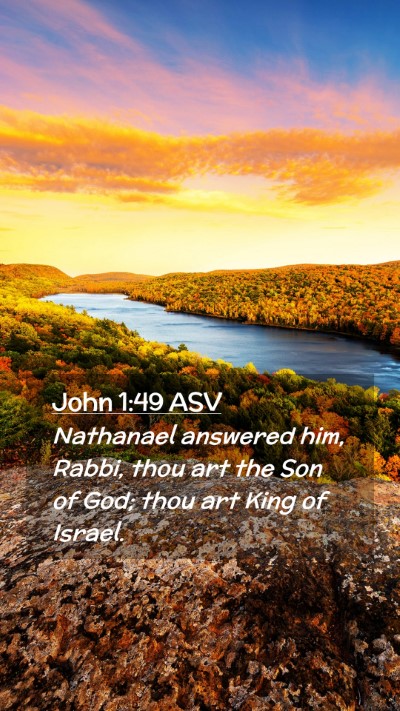 Picture 02 - John 1:49 ASV Mobile Phone Wallpaper - Nathanael answered him, Rabbi, thou art the Son - Mobile Bible Verse Wallpaper