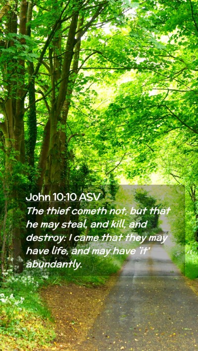 Picture 02 - John 10:10 ASV Mobile Phone Wallpaper - The thief cometh not, but that he may steal, and - Mobile Bible Verse Wallpaper
