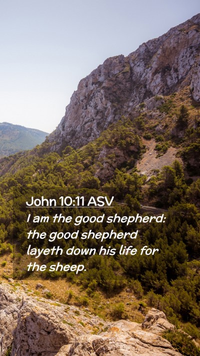 Picture 02 - John 10:11 ASV Mobile Phone Wallpaper - I am the good shepherd: the good shepherd layeth - Mobile Bible Verse Wallpaper