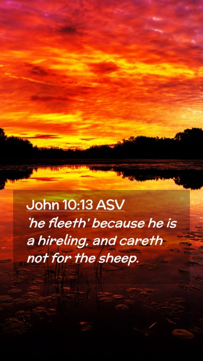 Picture 02 - John 10:13 ASV Mobile Phone Wallpaper - `he fleeth' because he is a hireling, and careth - Mobile Bible Verse Wallpaper