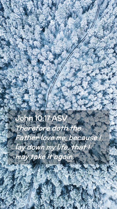 Picture 02 - John 10:17 ASV Mobile Phone Wallpaper - Therefore doth the Father love me, because I lay - Mobile Bible Verse Wallpaper
