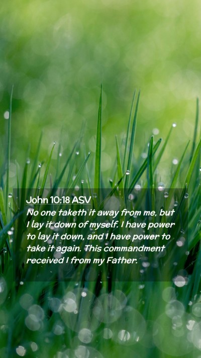 Picture 02 - John 10:18 ASV Mobile Phone Wallpaper - No one taketh it away from me, but I lay it down - Mobile Bible Verse Wallpaper