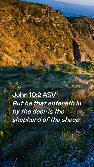 Picture 02 - John 10:2 ASV Mobile Phone Wallpaper - But he that entereth in by the door is the - Mobile Bible Verse Wallpaper